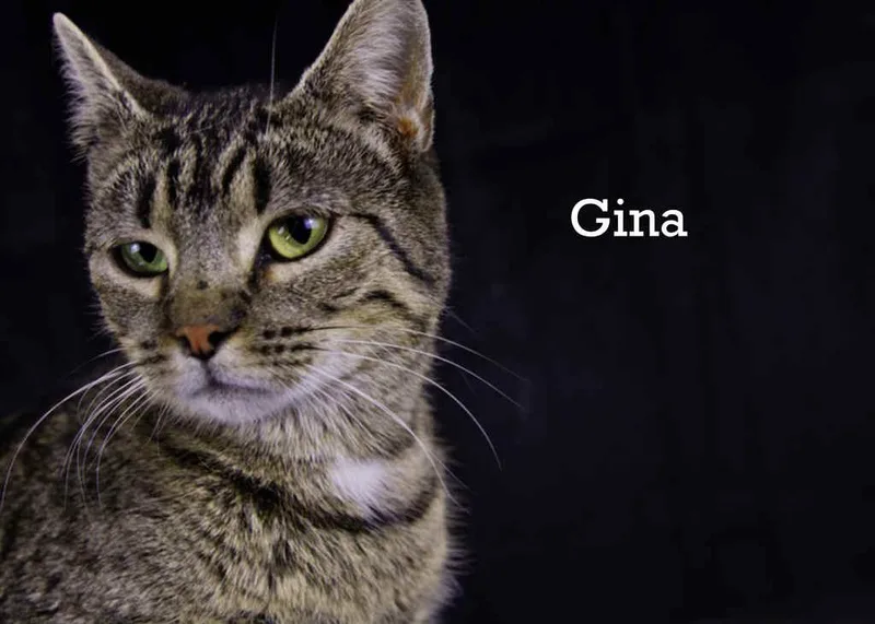 Gina thumbnail 2