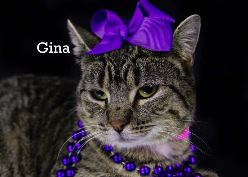 Gina thumbnail 3