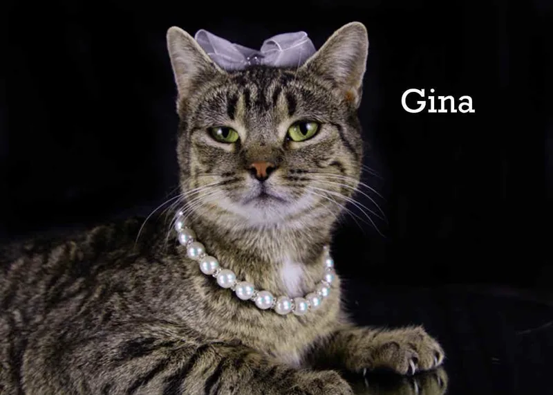 Gina thumbnail 4