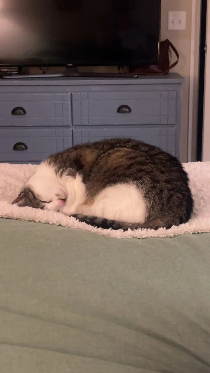 Charlie thumbnail 3