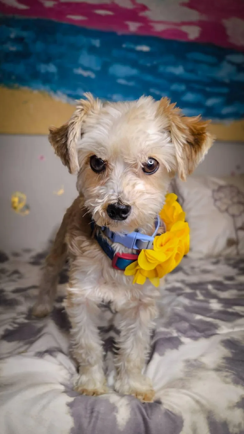 Buster Eman thumbnail 2