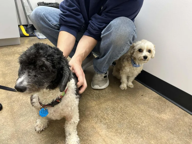 Buster Eman thumbnail 4