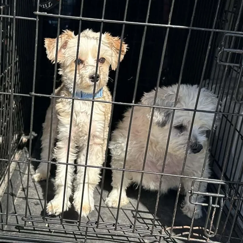 Buster Eman thumbnail 5