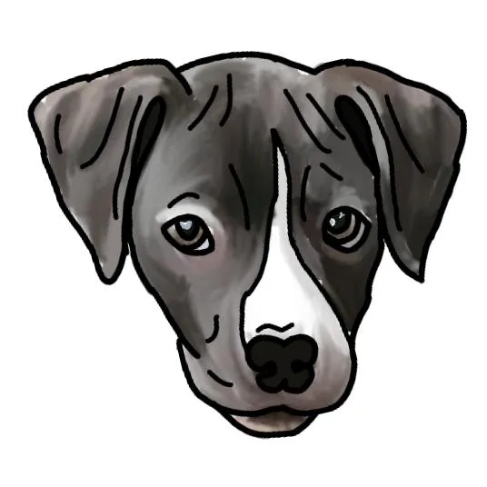 Jody thumbnail 2