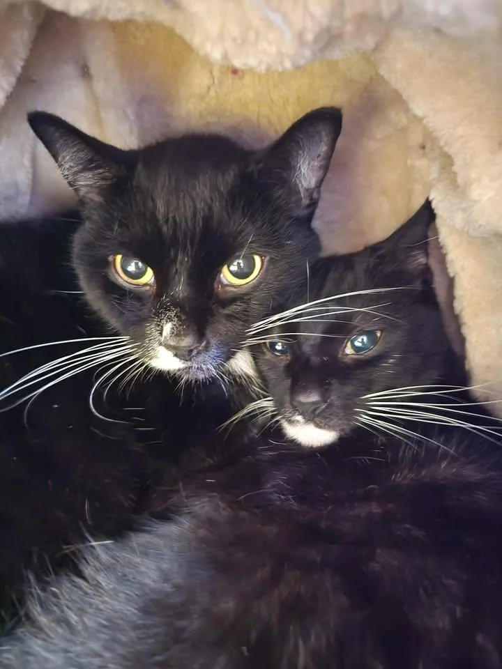 Helen and Junior Mint