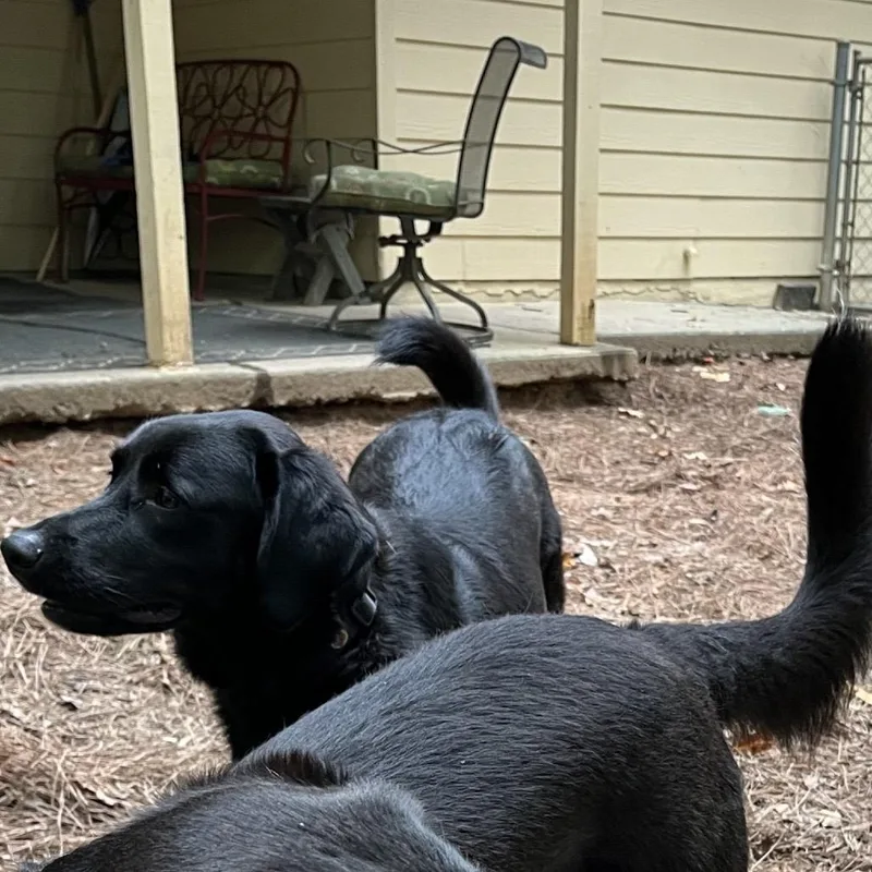 ALPHARETTA  Ann