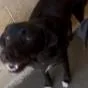 ALPHARETTA  Ann thumbnail 2
