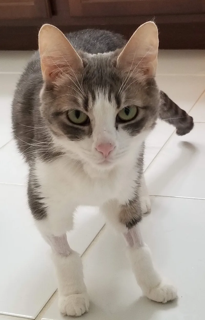 MarieWants to be your thumbnail 4