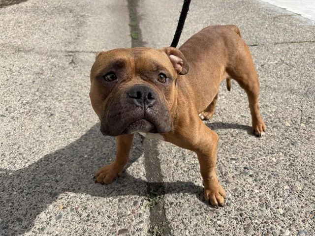 Benito