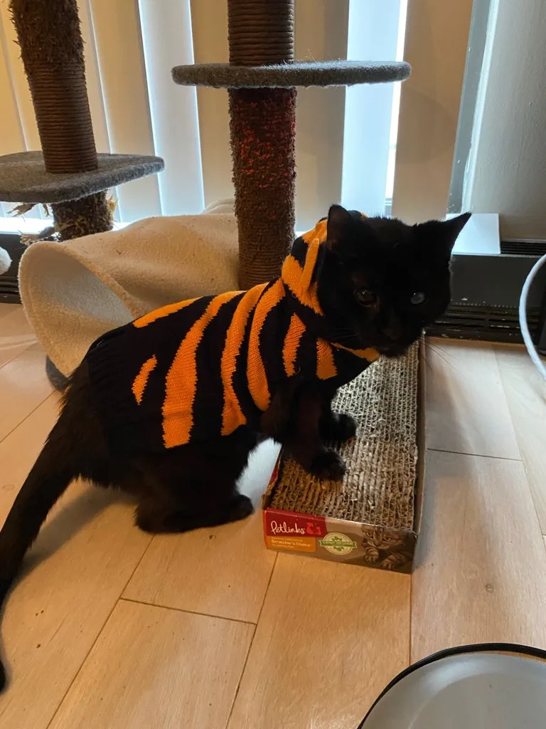 Jacobie And Beatrix thumbnail 2