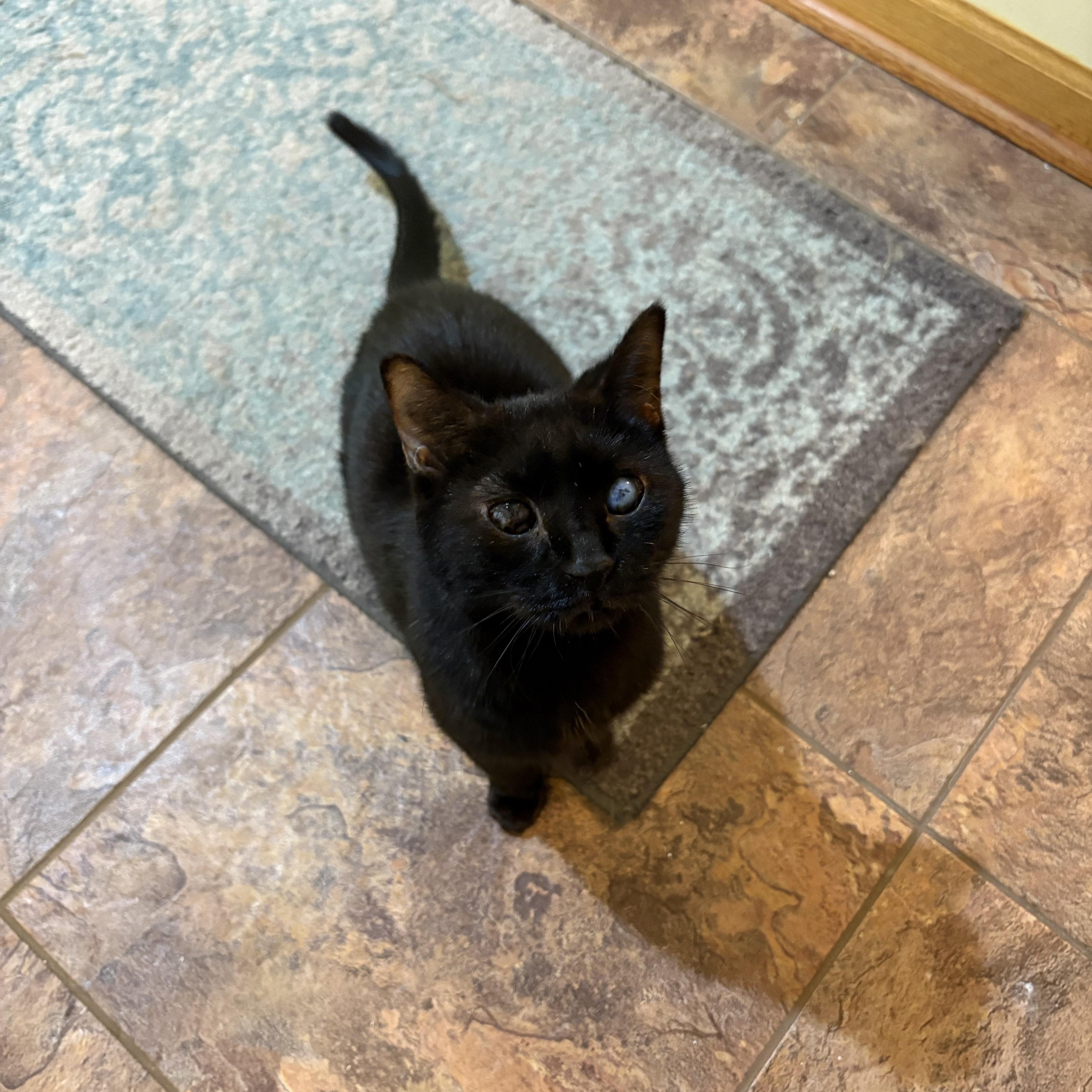 Jacobie And Beatrix thumbnail 4