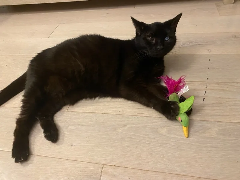 Jacobie And Beatrix thumbnail 5