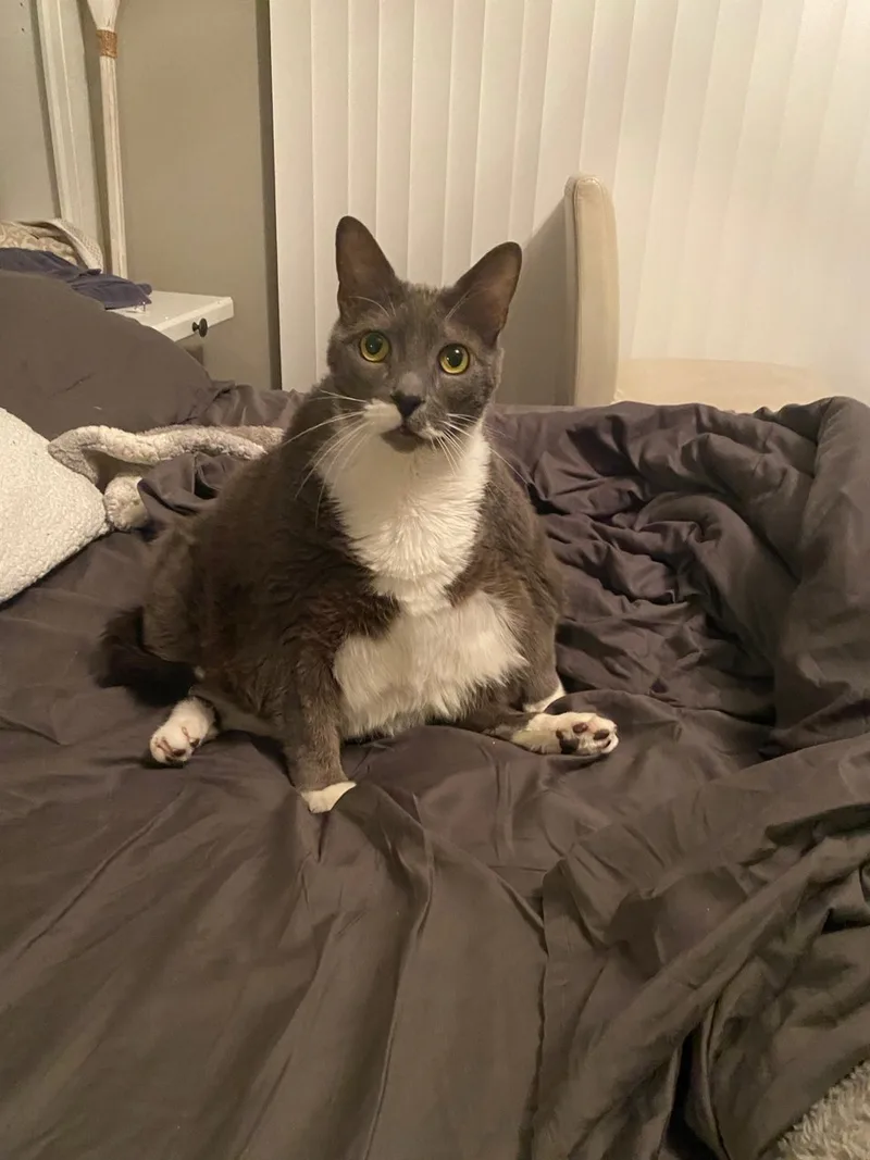 Jacobie And Beatrix thumbnail 6