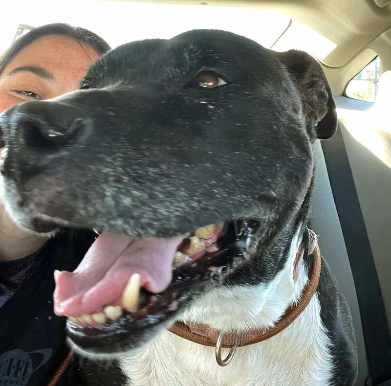 Miashe’s Pure Joy thumbnail 6