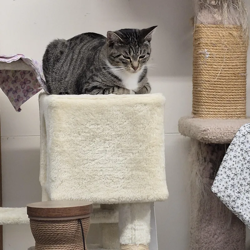 Zoey thumbnail 3