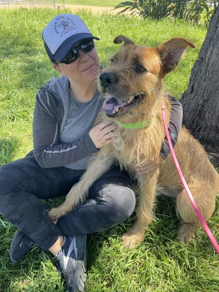 Prickly Pete thumbnail 6