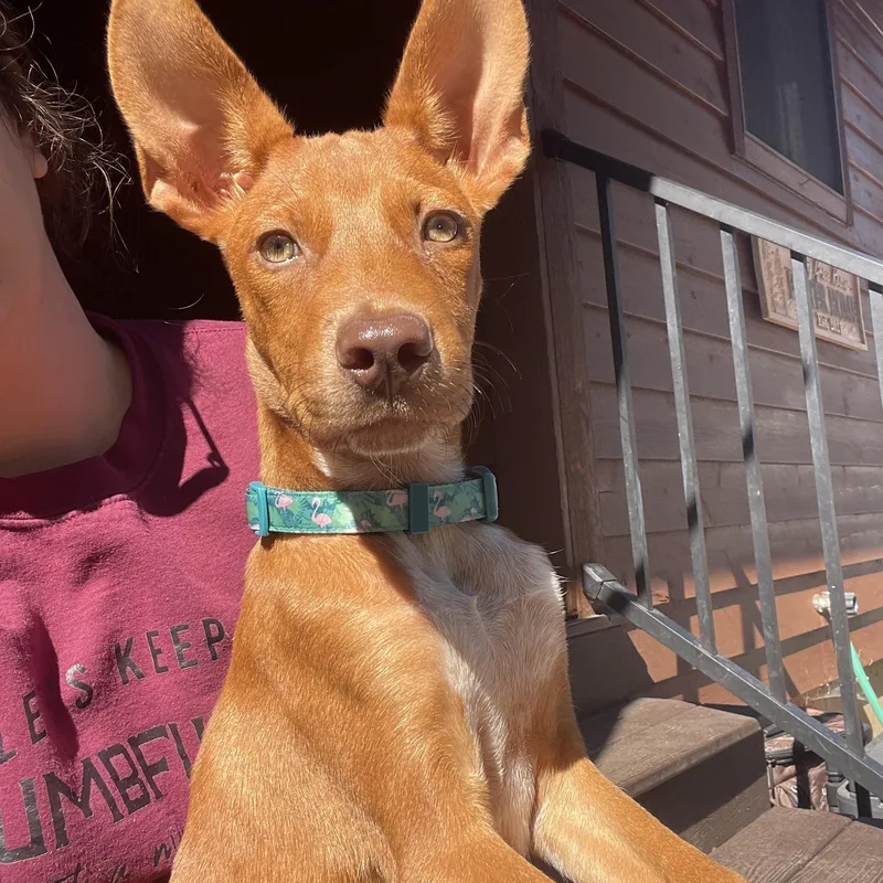 Maggie thumbnail 2