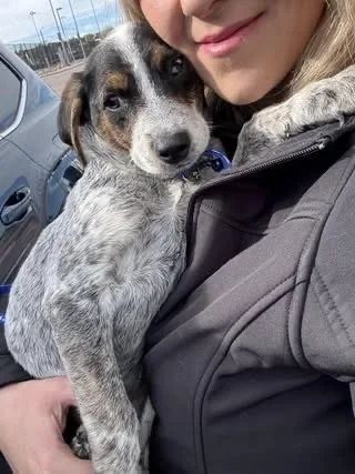 Boone thumbnail 2