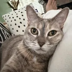 Princess