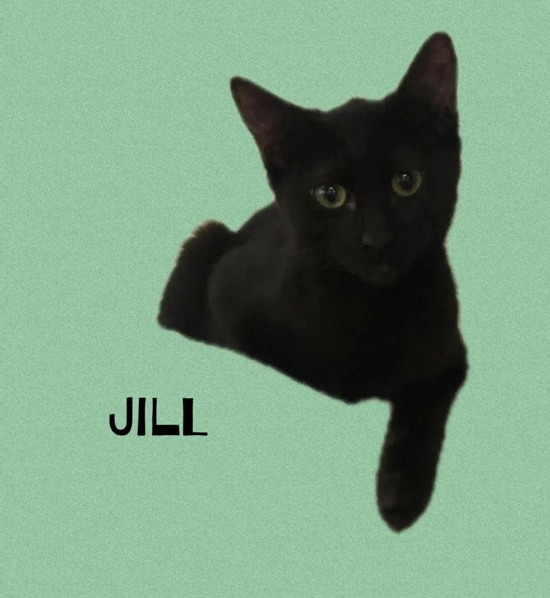 Jill