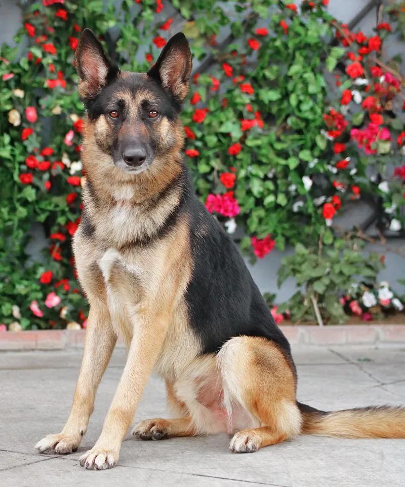 Monty Von Modautal thumbnail 3