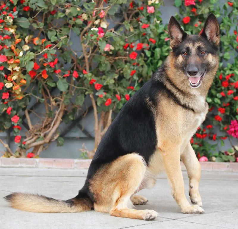 Monty Von Modautal thumbnail 6