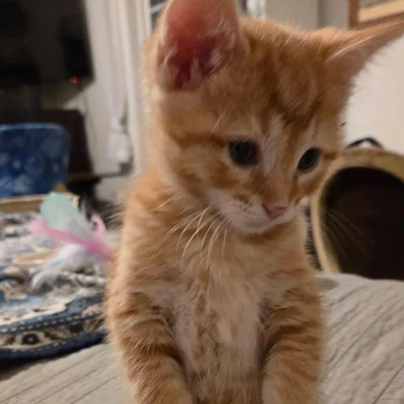Parker thumbnail 3