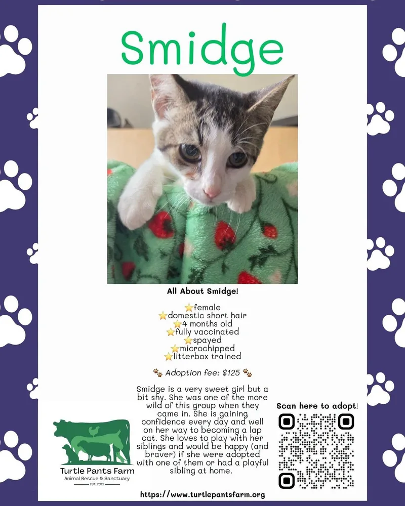Smidge thumbnail 2