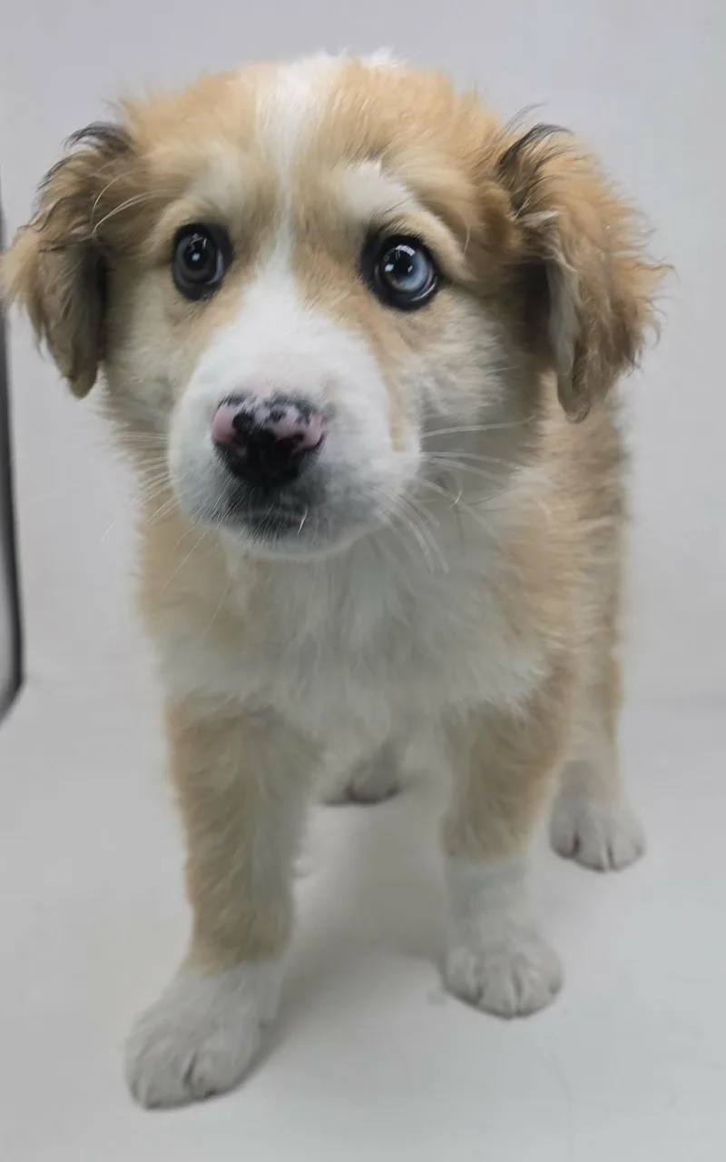 Game On Dude thumbnail 2