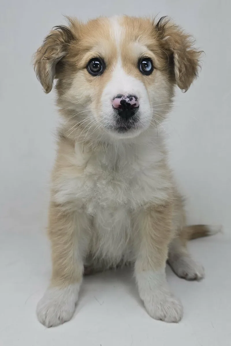 Game On Dude thumbnail 3