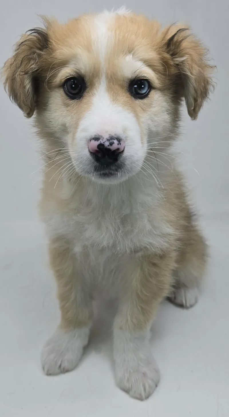 Game On Dude thumbnail 4