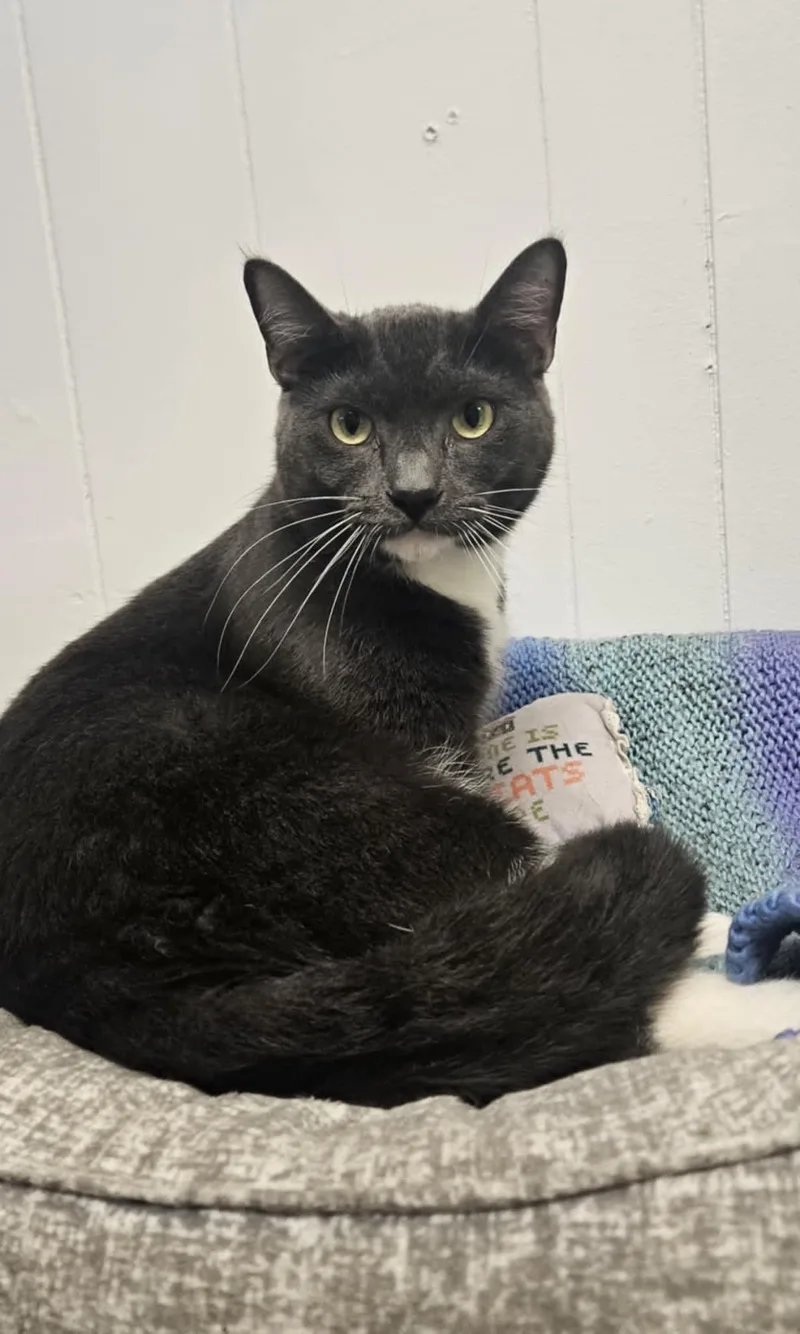 Buster "ash" thumbnail 2