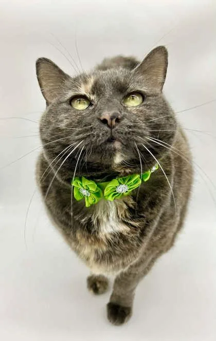 Sabrina