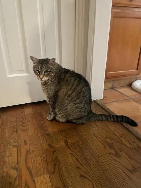 Francisco thumbnail 4