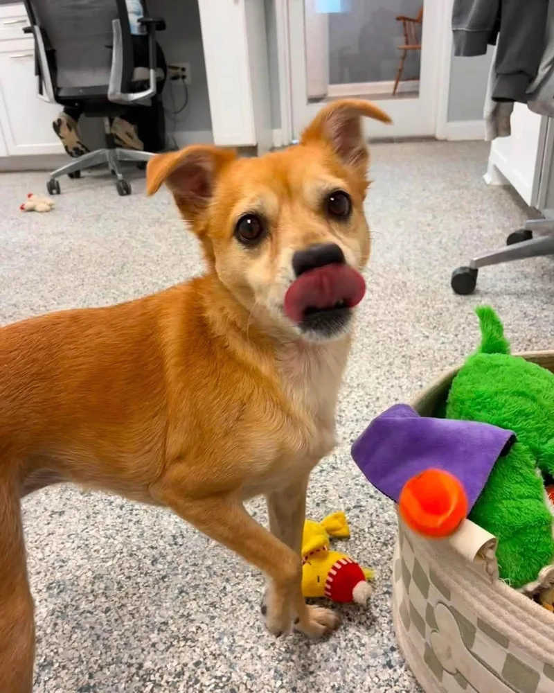 Bernie thumbnail 2