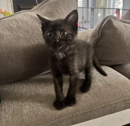 Rotten Robbie