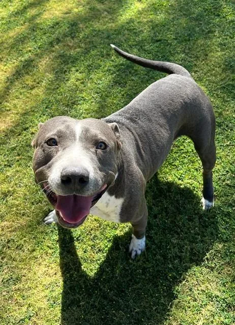 Paco
