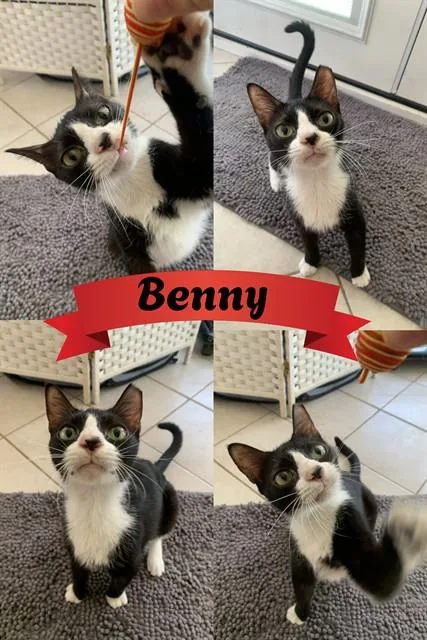 Benny