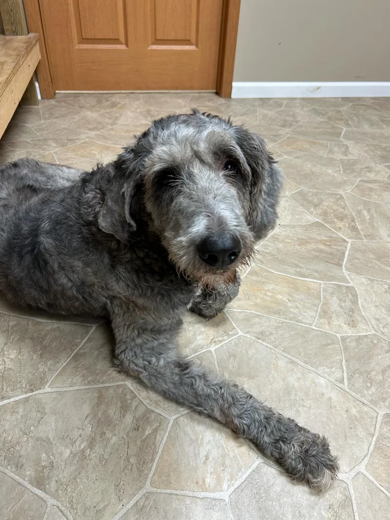 Einstein thumbnail 3