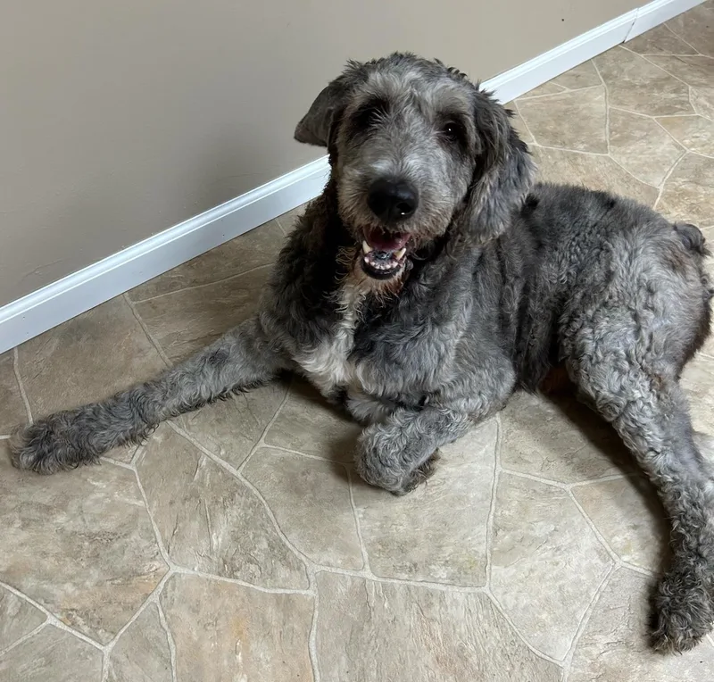 Einstein thumbnail 4