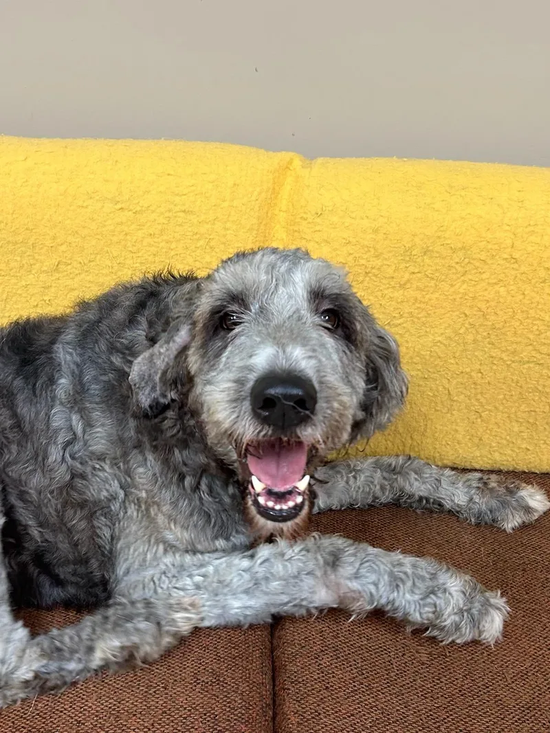 Einstein thumbnail 5