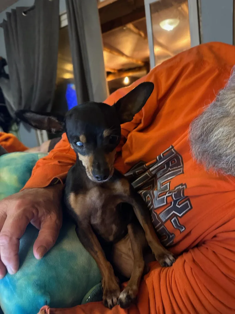 Maggie Mae thumbnail 2