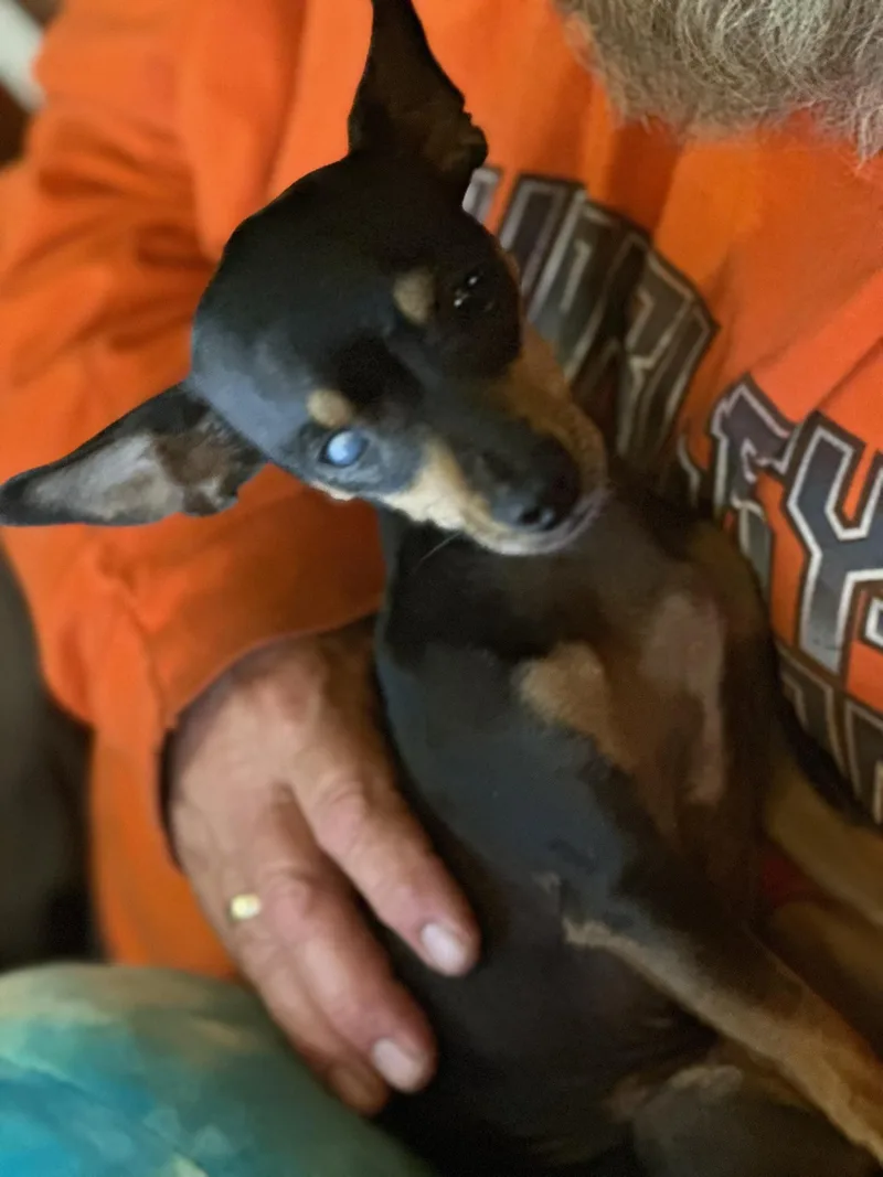 Maggie Mae thumbnail 3