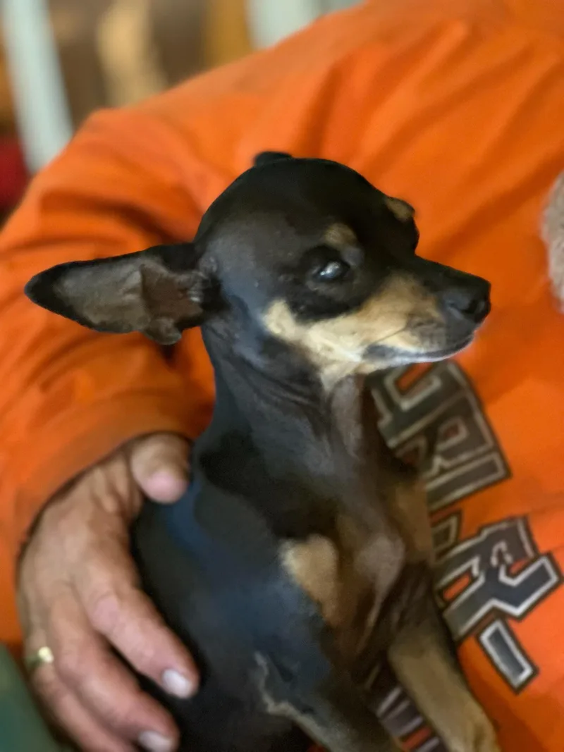 Maggie Mae thumbnail 4