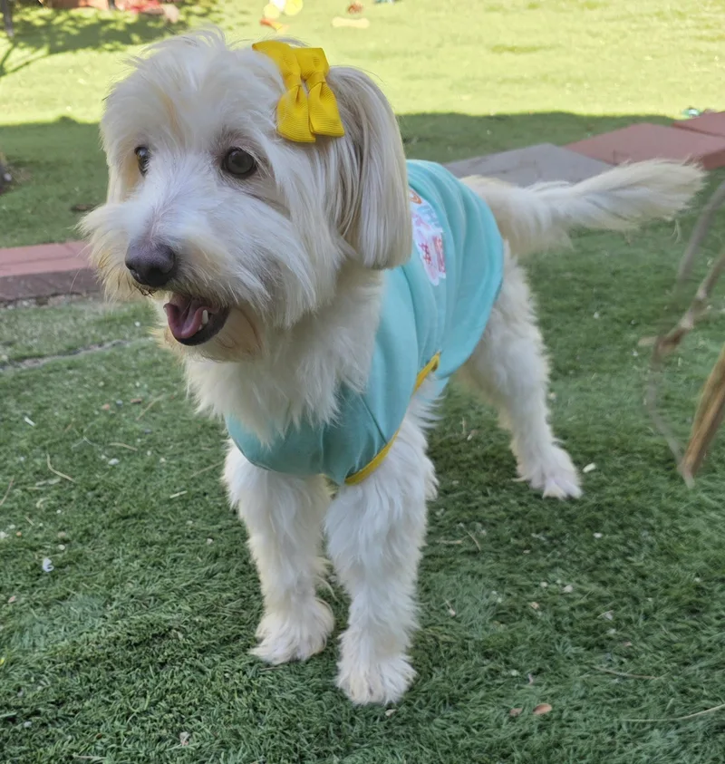 Tessa thumbnail 5