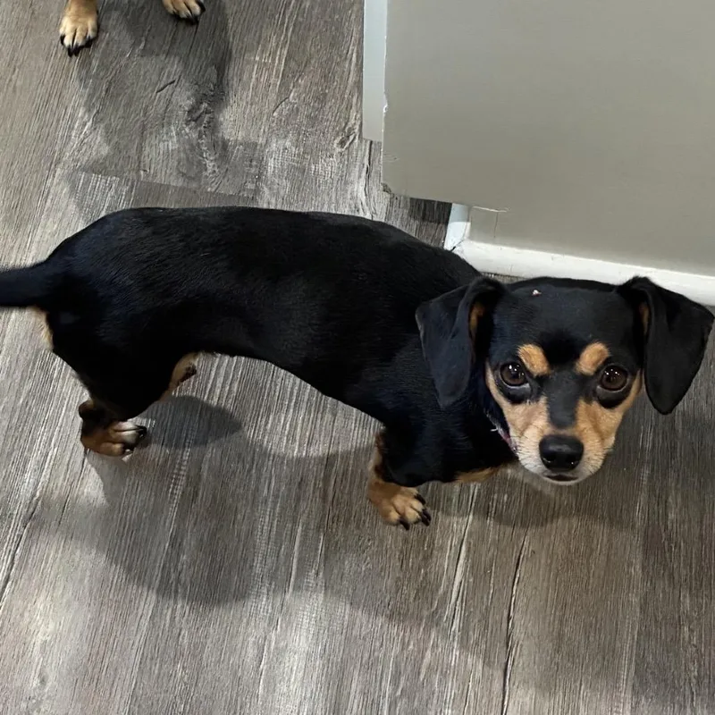 Lulu thumbnail 5