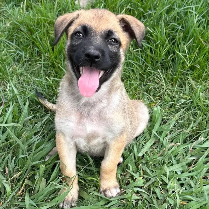 Caldwell thumbnail 2