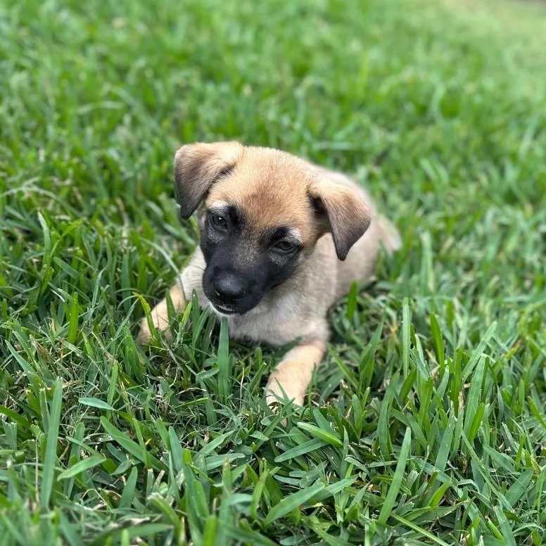 Caldwell thumbnail 3