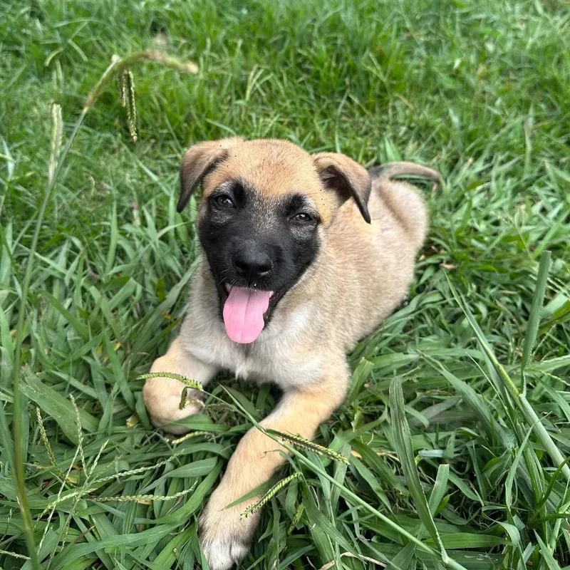 Caldwell thumbnail 4