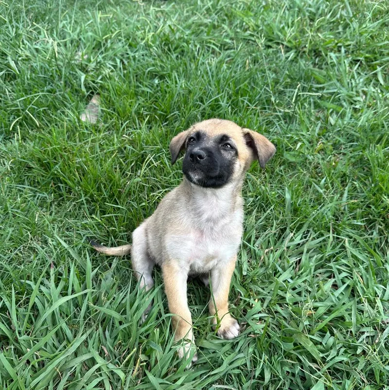 Caldwell thumbnail 5